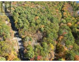 PT LT 7 CON 3 BUCKSLIDE ROAD, algonquin highlands (stanhope), Ontario