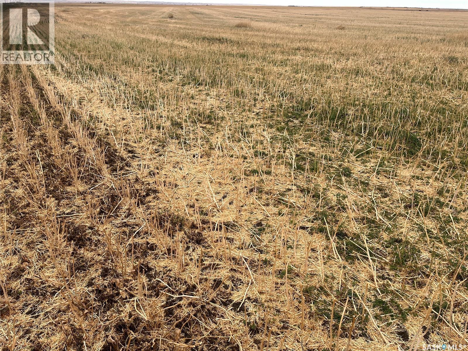 Rudy Rm Land, Rudy Rm No. 284, Saskatchewan  S0L 2N0 - Photo 21 - SK020119