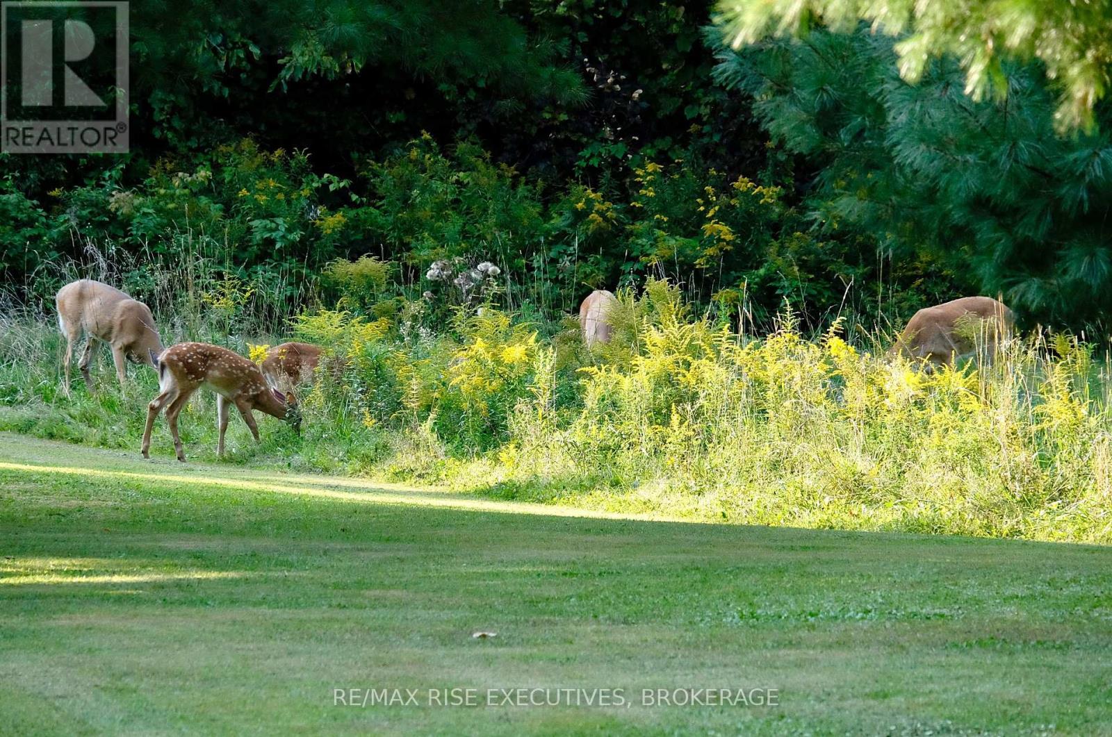 Pt 2 Spring Mill Lane, Frontenac, Ontario  K0H 2L0 - Photo 43 - X12447752