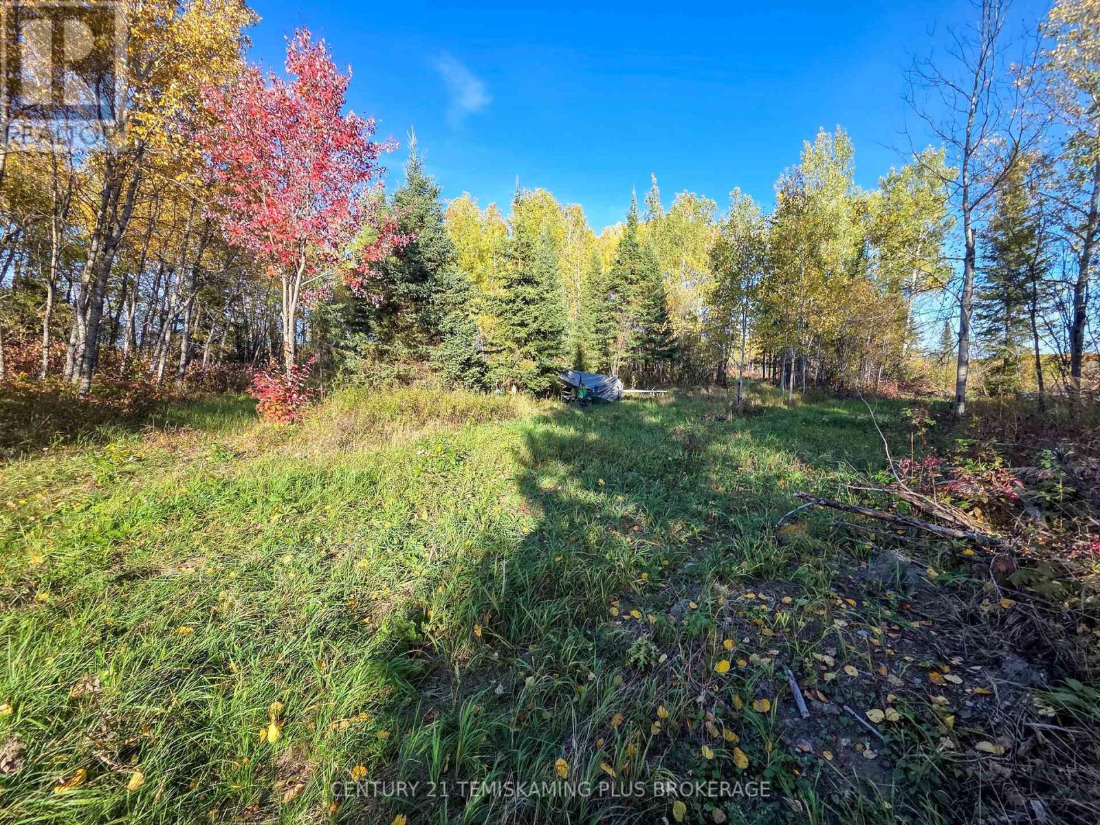 Pcl5224 Little Road, Englehart (Central Timiskaming), Ontario  P0J 1H0 - Photo 13 - T12447768