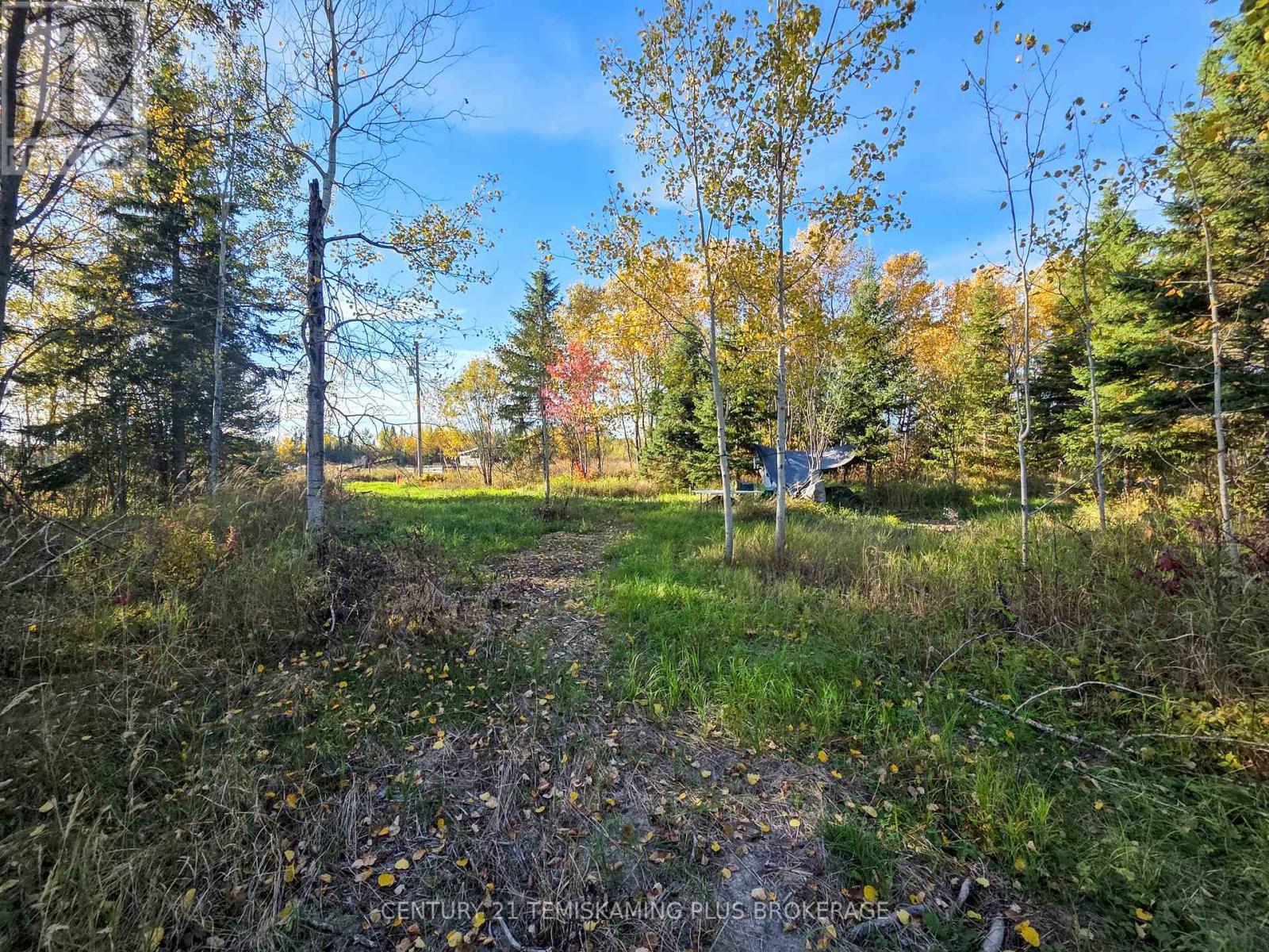 Pcl5224 Little Road, Englehart (Central Timiskaming), Ontario  P0J 1H0 - Photo 14 - T12447768