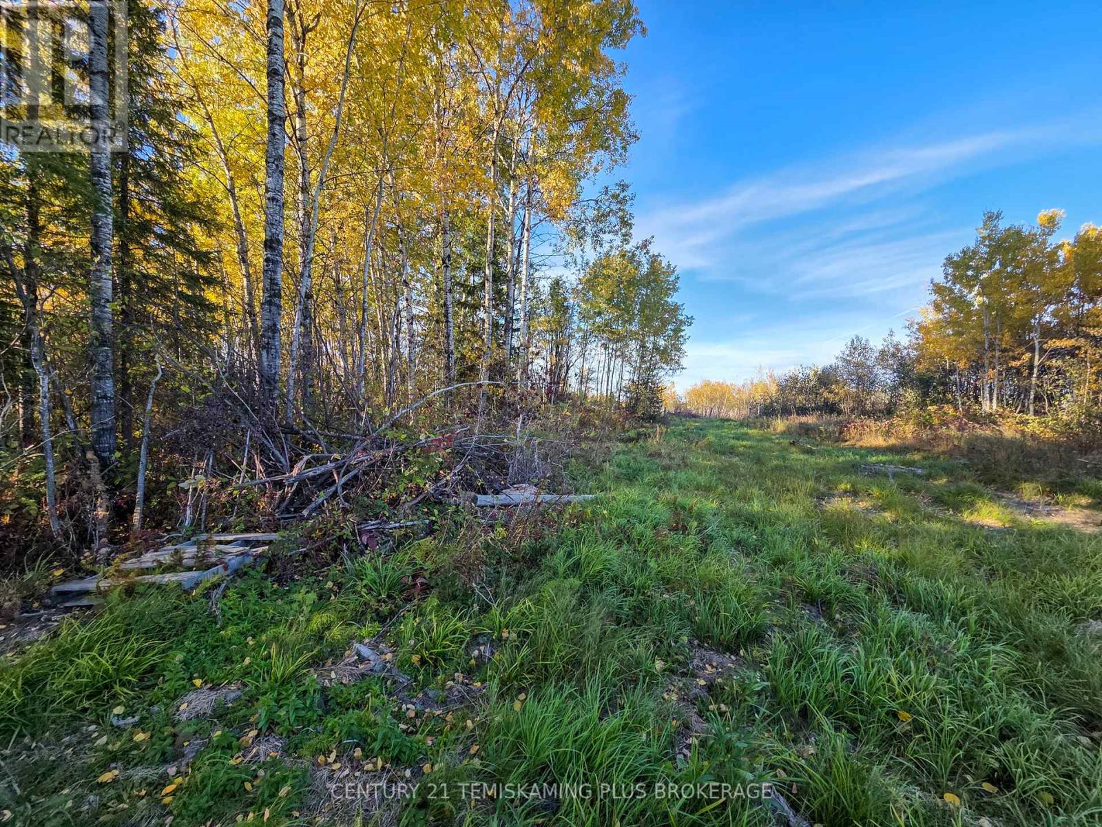 Pcl5224 Little Road, Englehart (Central Timiskaming), Ontario  P0J 1H0 - Photo 17 - T12447768