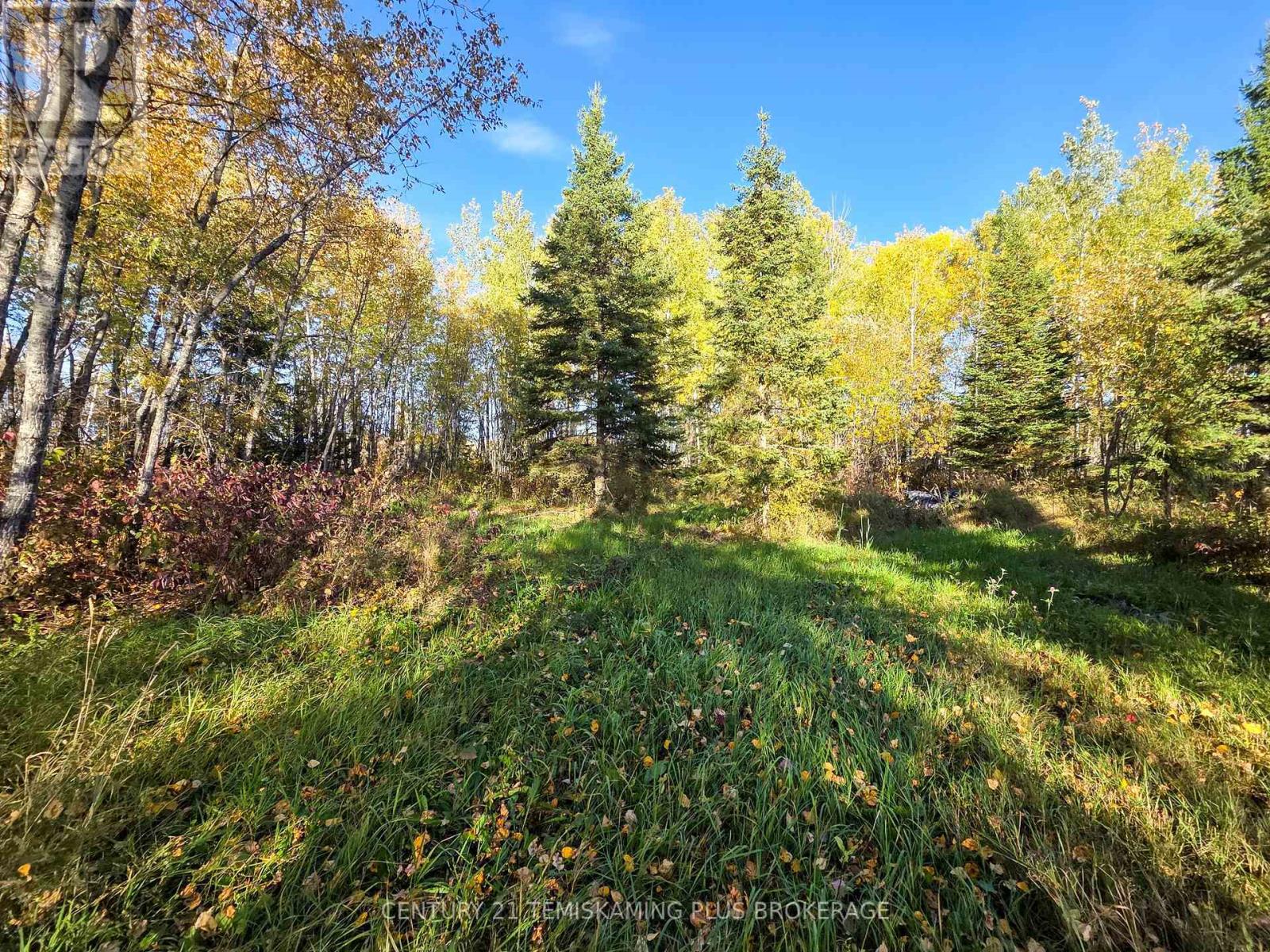 Pcl5224 Little Road, Englehart (Central Timiskaming), Ontario  P0J 1H0 - Photo 20 - T12447768