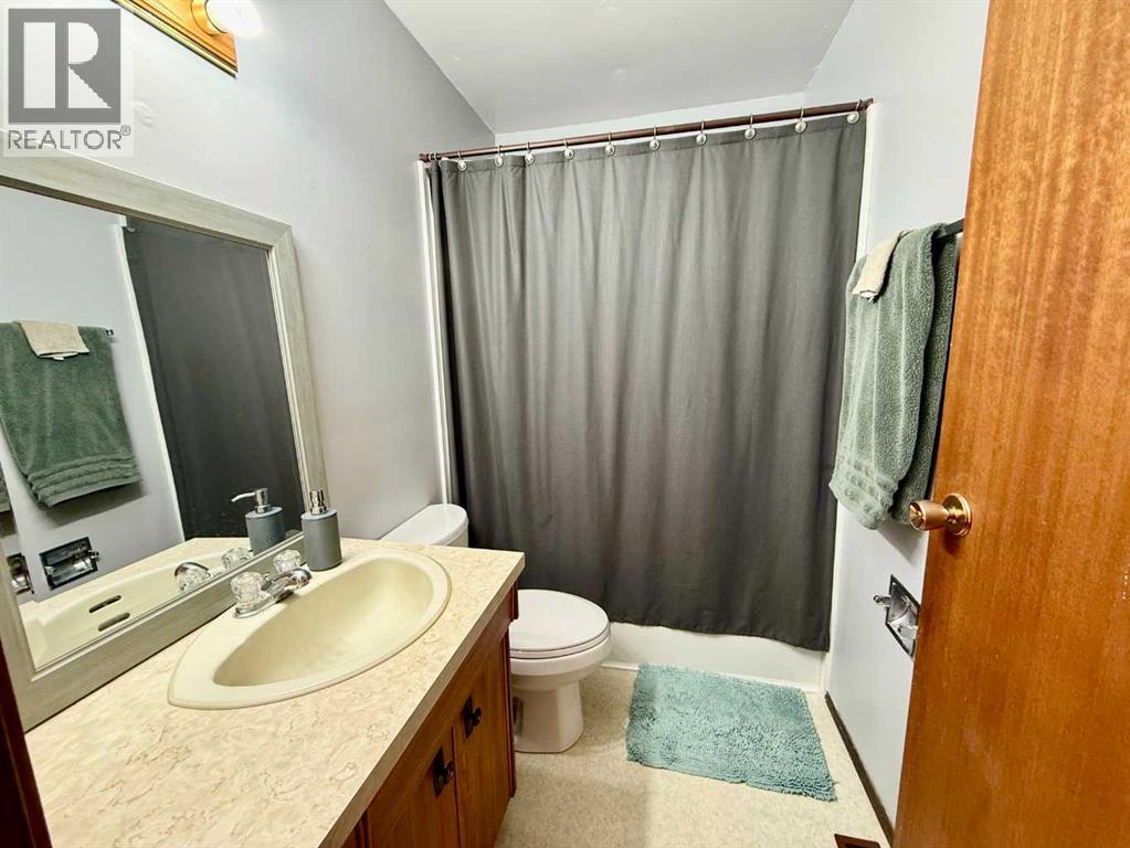 4425 56 Avenue, Provost, Alberta  T0B 3S0 - Photo 13 - A2259082