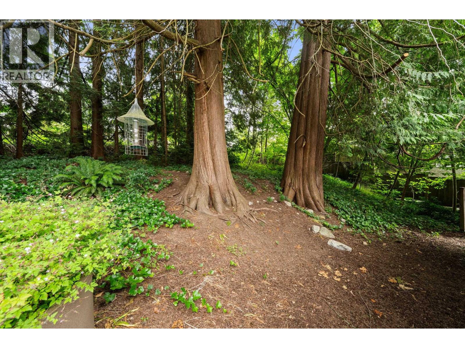 338 E Osborne Road, North Vancouver, British Columbia  V7N 1M3 - Photo 15 - R3055725