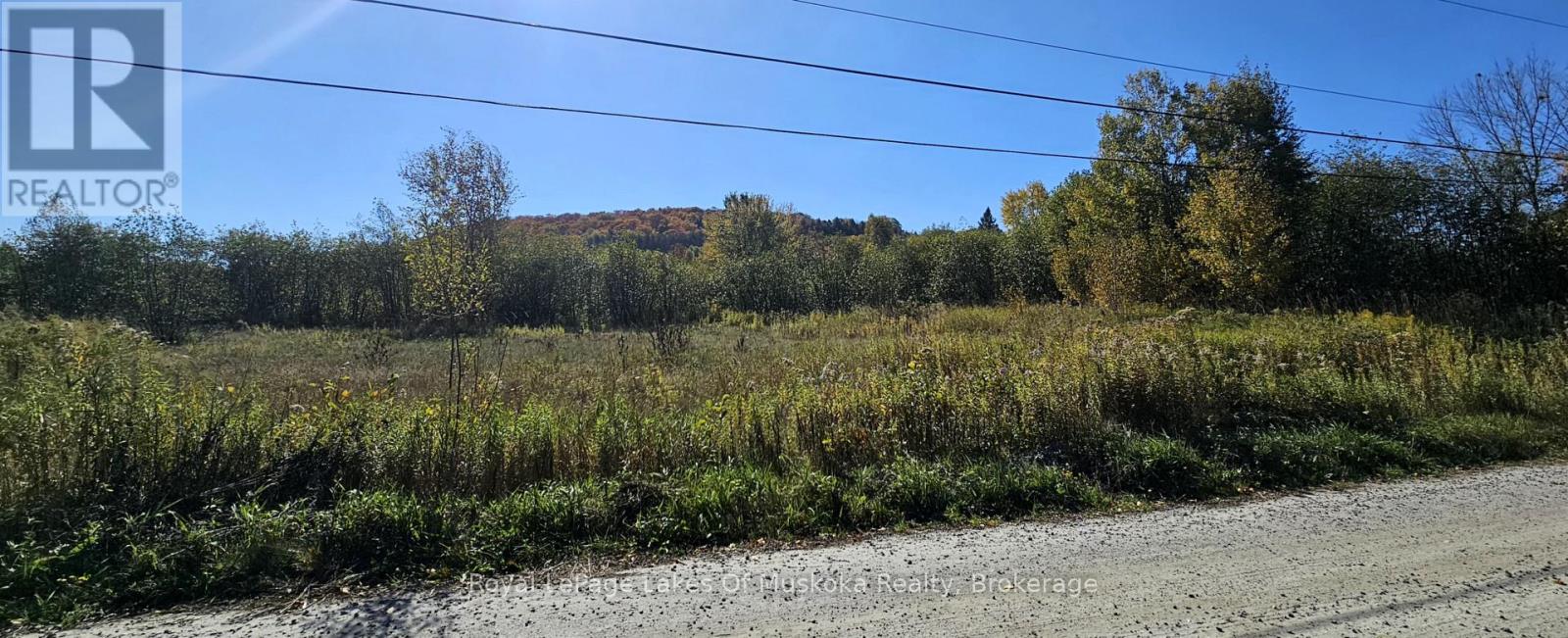 820 Bayshore Boulevard, Huntsville, Ontario  P1H 1Y7 - Photo 2 - X12447745