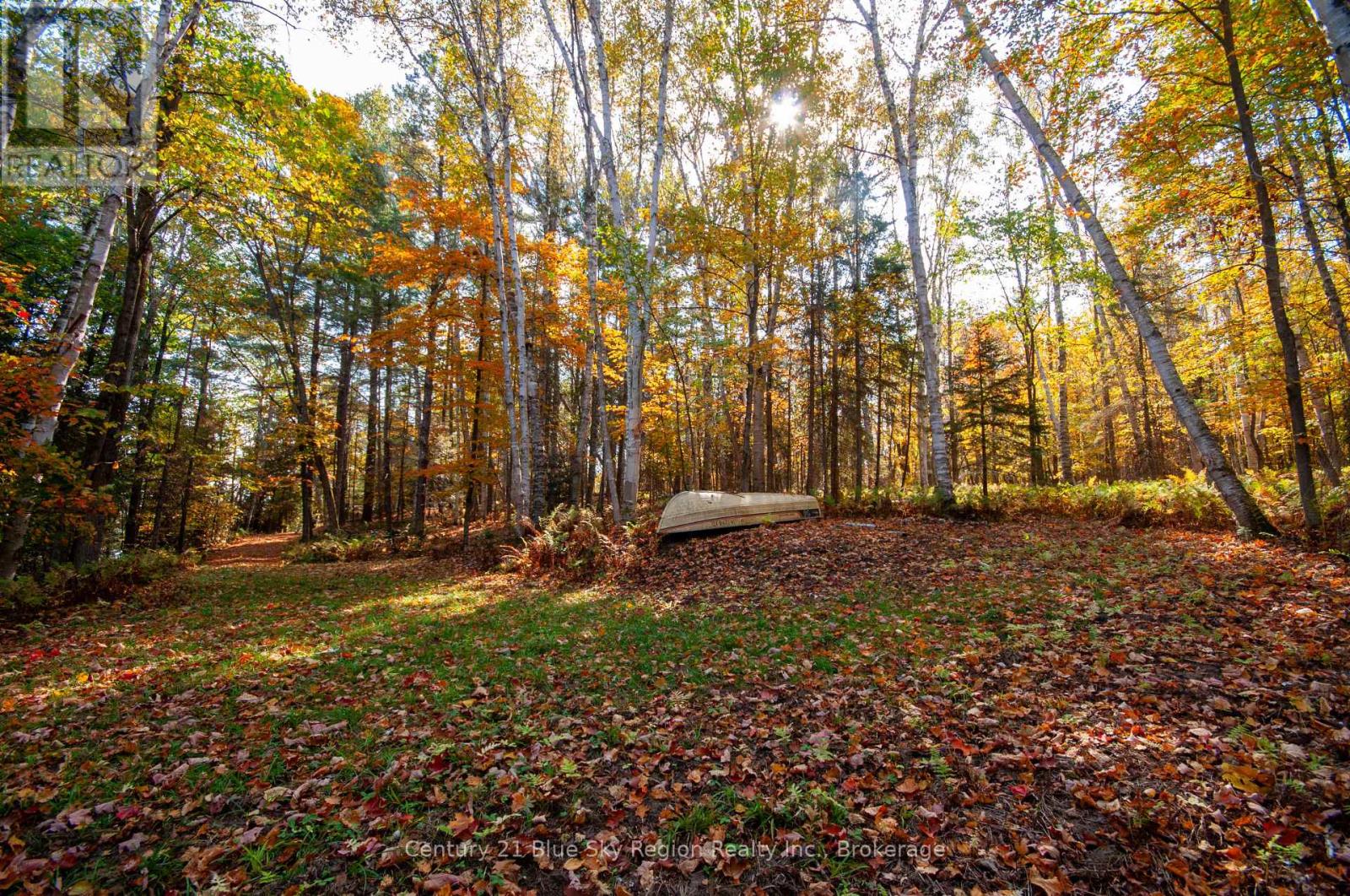 1061 South Shore Road, East Ferris, Ontario  P0H 1B0 - Photo 15 - X12447821