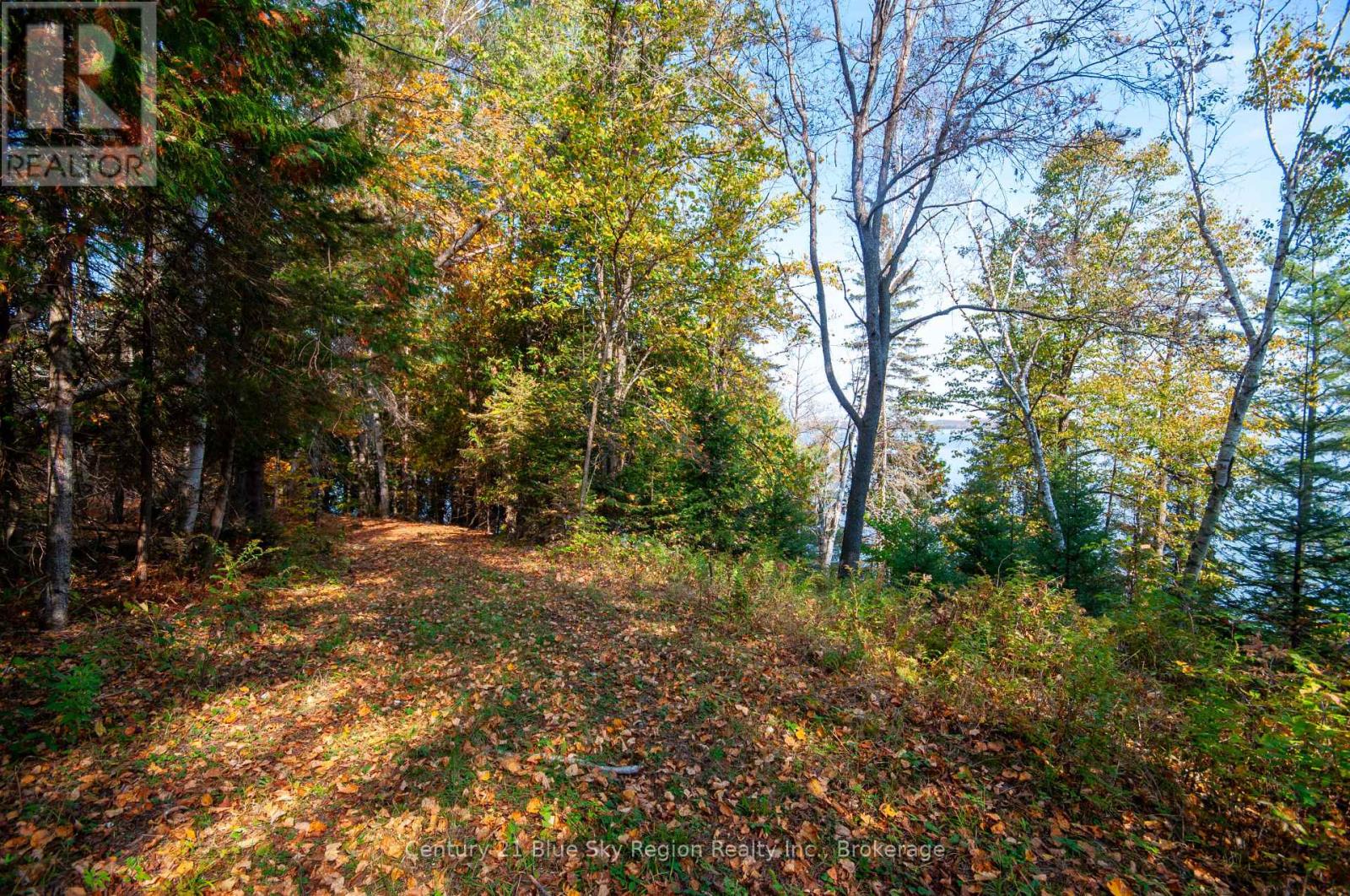 1061 South Shore Road, East Ferris, Ontario  P0H 1B0 - Photo 17 - X12447821