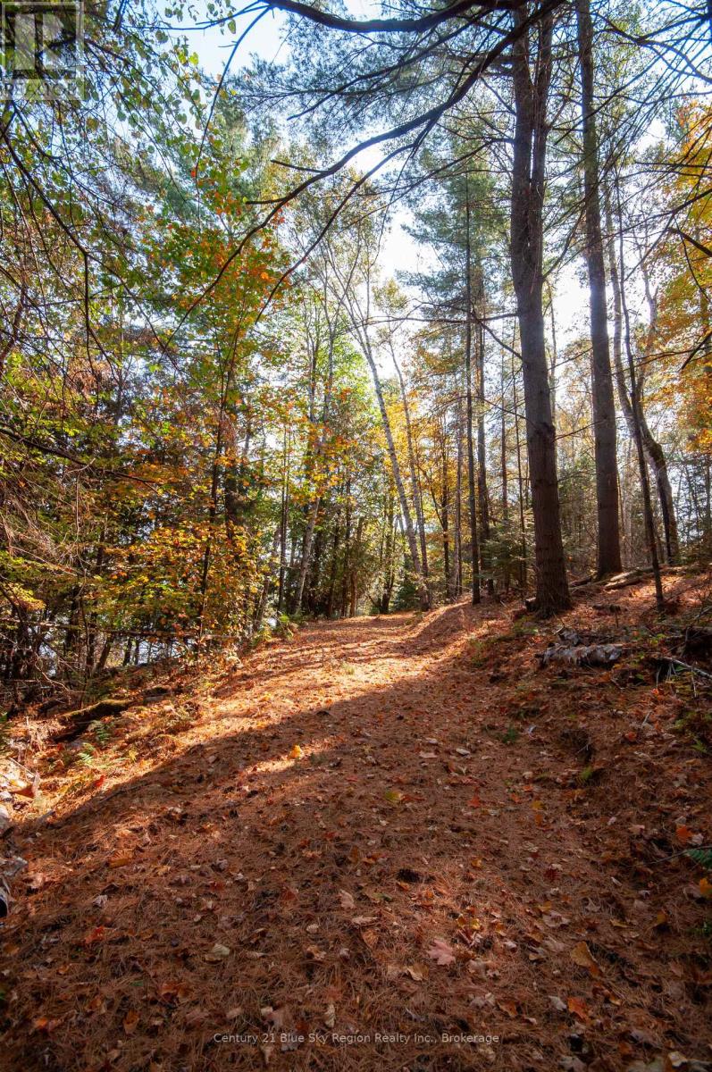 1061 South Shore Road, East Ferris, Ontario  P0H 1B0 - Photo 18 - X12447821