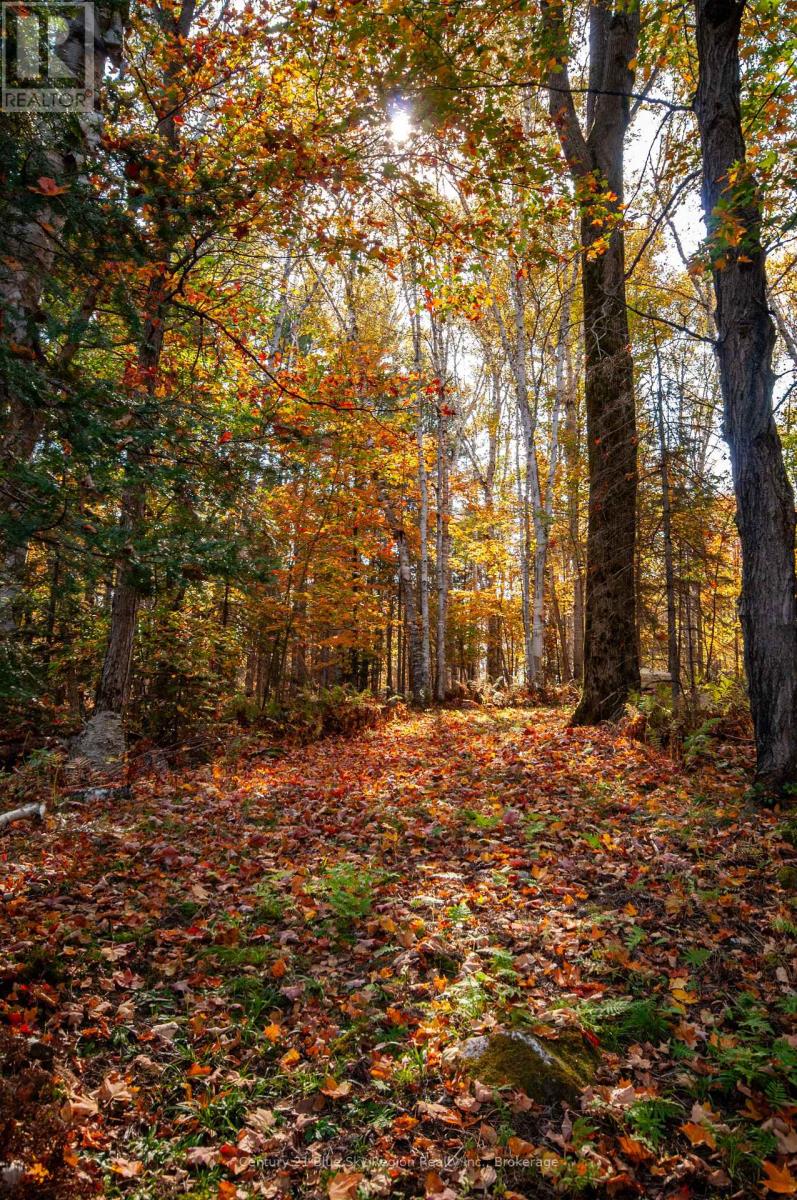 1061 South Shore Road, East Ferris, Ontario  P0H 1B0 - Photo 19 - X12447821