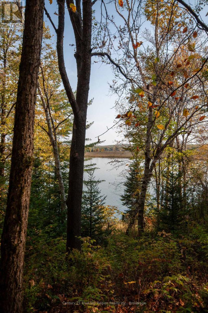 1061 South Shore Road, East Ferris, Ontario  P0H 1B0 - Photo 20 - X12447821