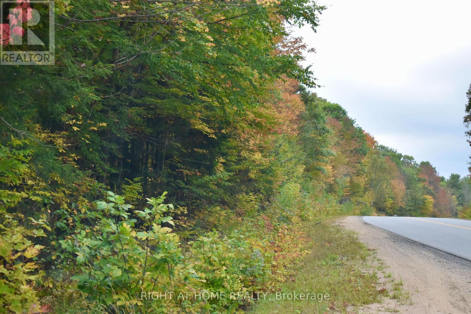 1150 Limberlost Road, Lake Of Bays (Sinclair), Ontario  P1H 2J6 - Photo 11 - X12447727