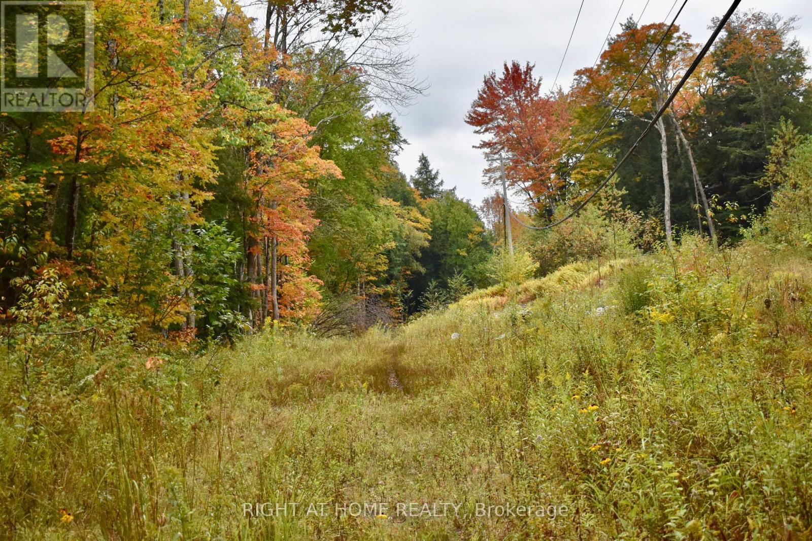 1150 Limberlost Road, Lake Of Bays (Sinclair), Ontario  P1H 2J6 - Photo 3 - X12447727