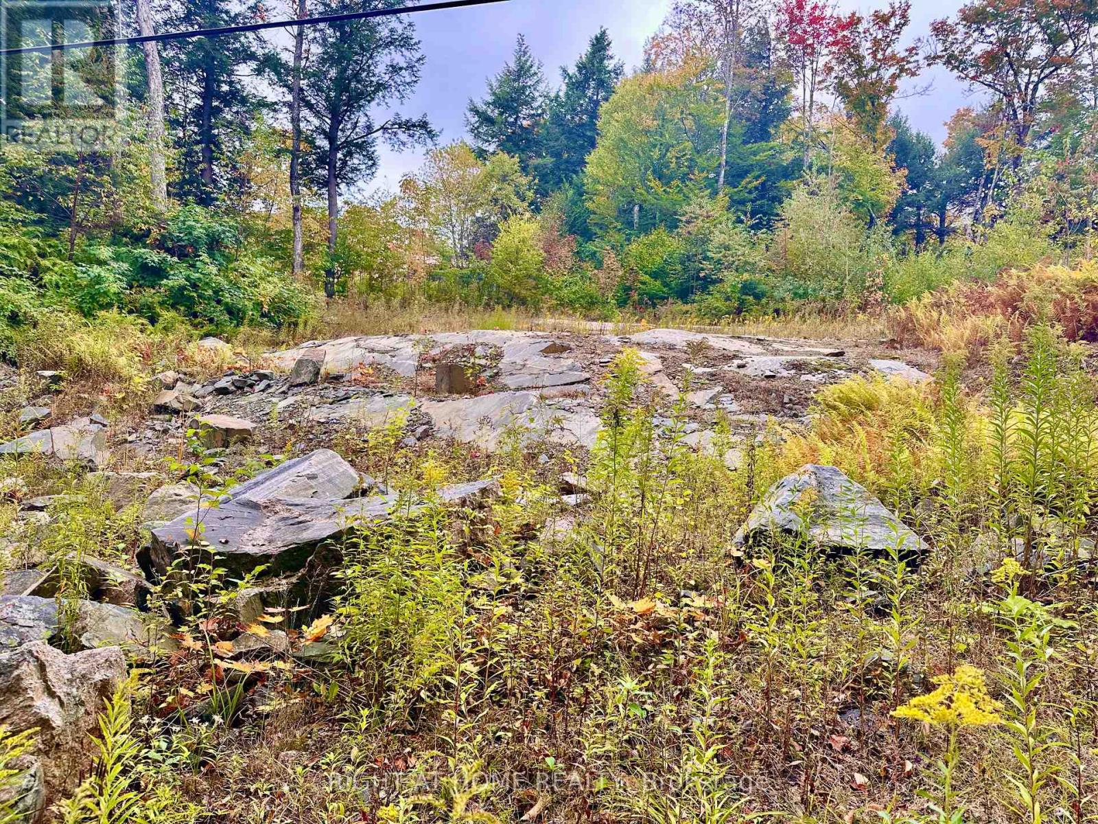1150 Limberlost Road, Lake Of Bays (Sinclair), Ontario  P1H 2J6 - Photo 4 - X12447727