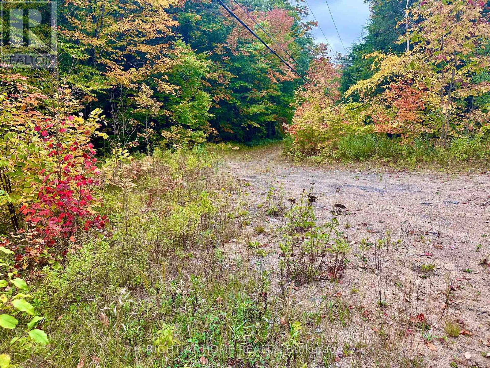 1150 Limberlost Road, Lake Of Bays (Sinclair), Ontario  P1H 2J6 - Photo 5 - X12447727