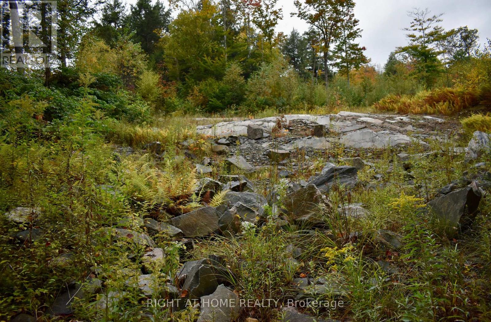 1150 Limberlost Road, Lake Of Bays (Sinclair), Ontario  P1H 2J6 - Photo 8 - X12447727