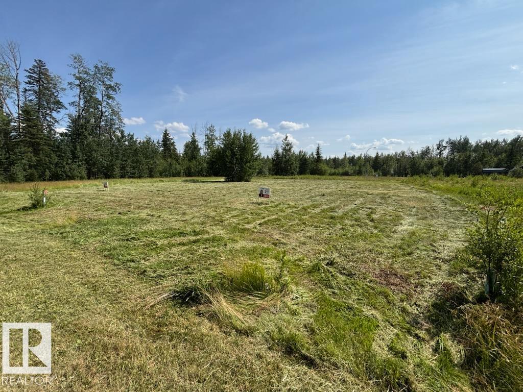 19 5 Av, Faust, Alberta  T0G 0X0 - Photo 3 - E4461018