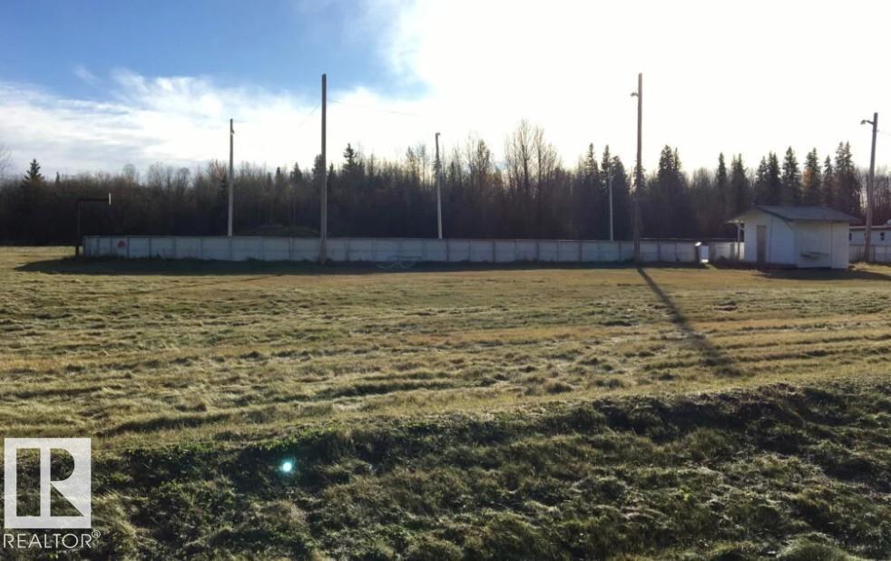20 5 Av, Faust, Alberta  T0G 0X0 - Photo 11 - E4461017