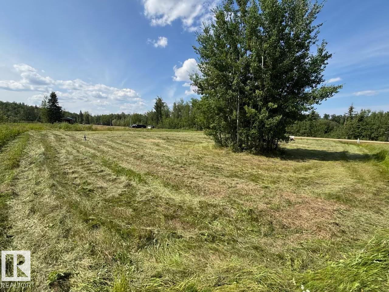20 5 Av, Faust, Alberta  T0G 0X0 - Photo 3 - E4461017