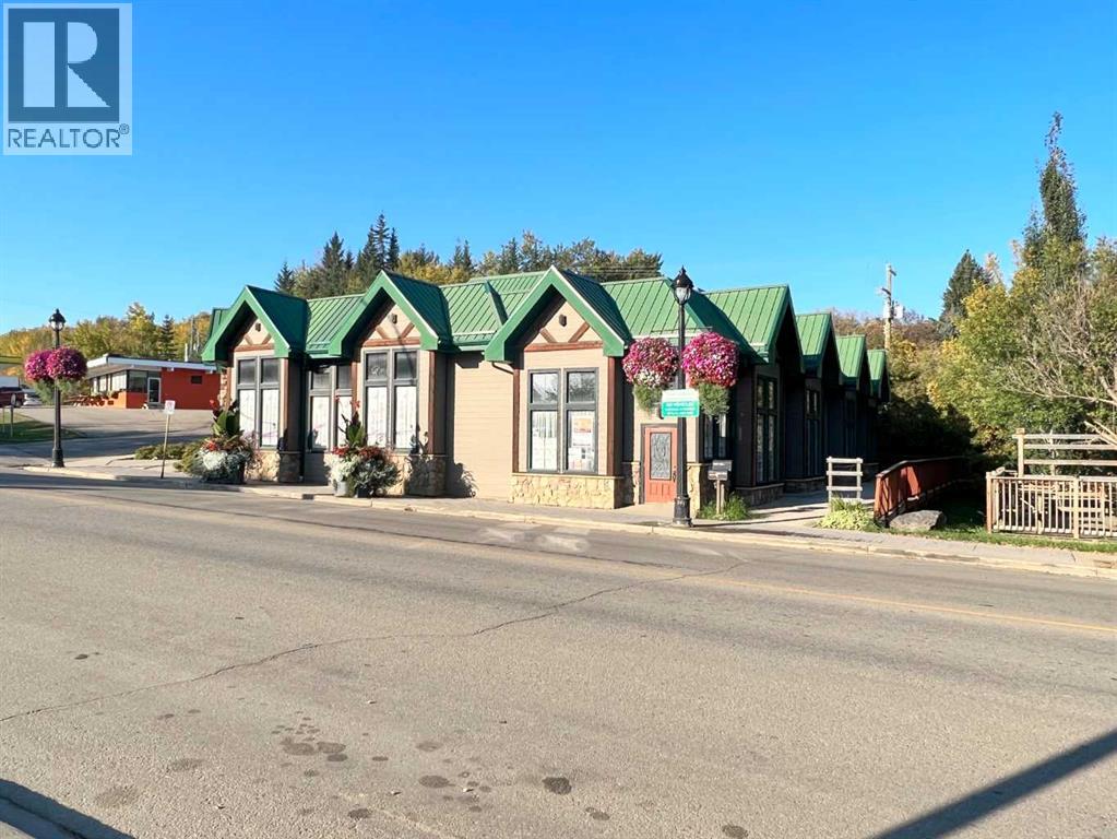 4803 50 Street, Athabasca, Alberta  T9S 1C8 - Photo 4 - A2259420