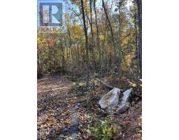 0 47 COUNTY ROAD, Havelock-Belmont-Methuen, Ontario