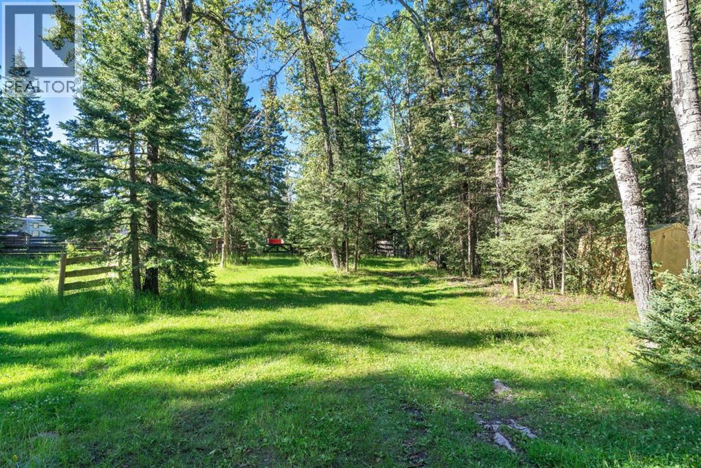 9 Ghost Road, Benchlands, Alberta  T4C 1N0 - Photo 42 - A2248732