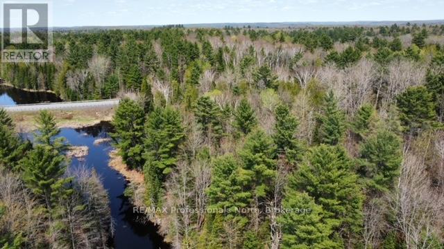 Tbd Bobcaygeon Road, Minden Hills (Hindon), Ontario  K0M 2K0 - Photo 11 - X12448079