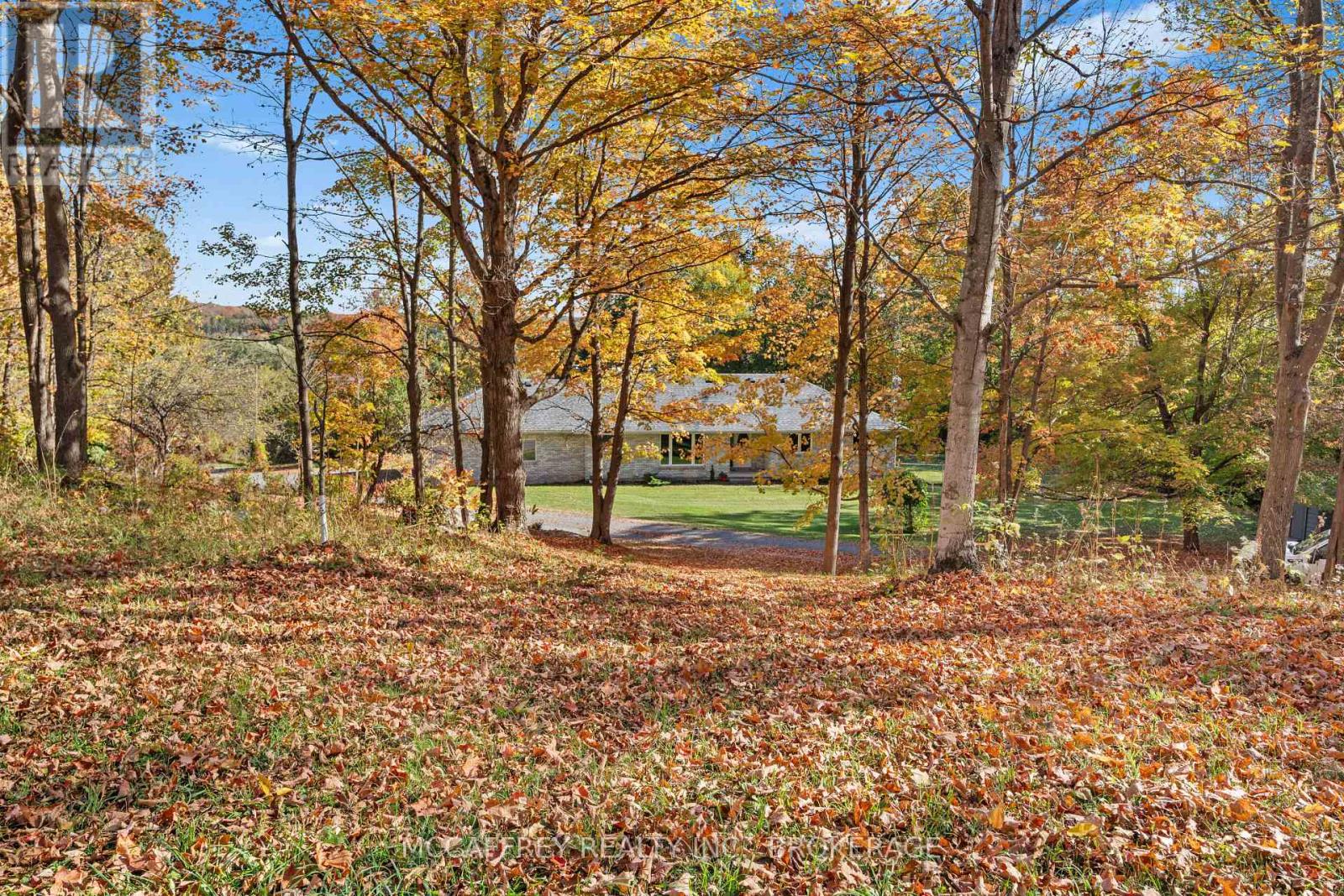 51 Luffman Road, Tweed, Ontario  K0K 2L0 - Photo 2 - X12448095