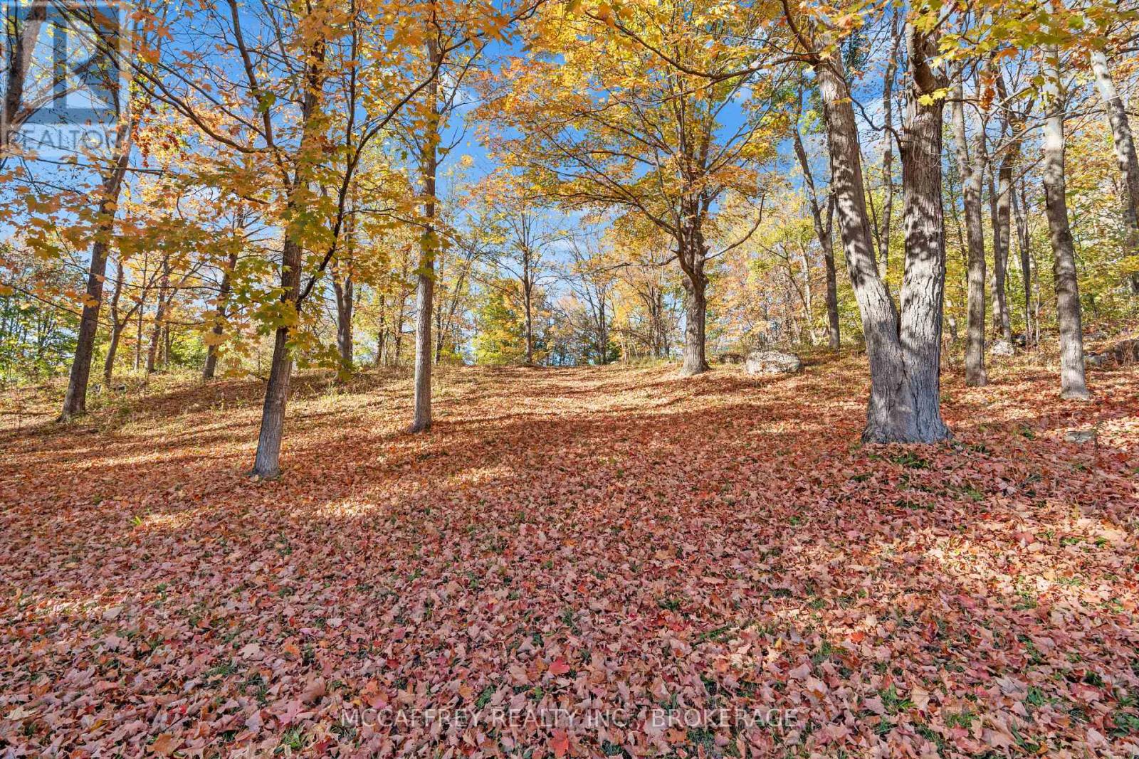 51 Luffman Road, Tweed, Ontario  K0K 2L0 - Photo 44 - X12448095