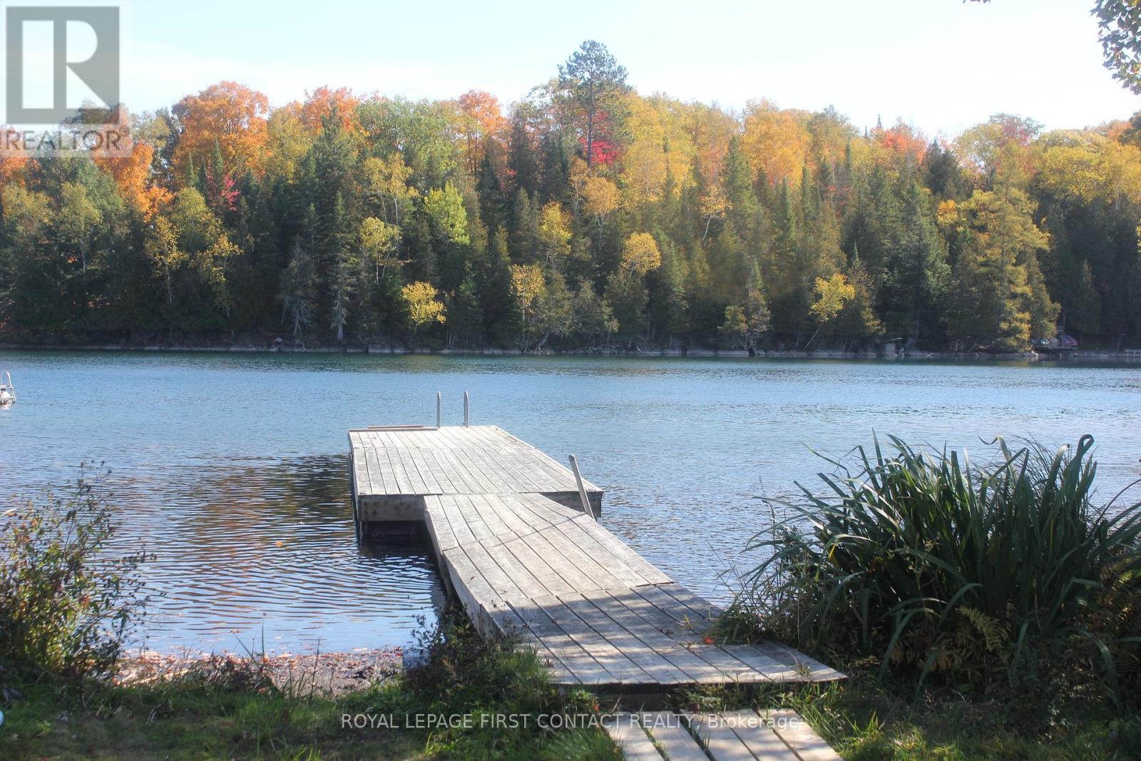12 Birch Point, Faraday, Ontario  K0L 1C0 - Photo 4 - X12448075