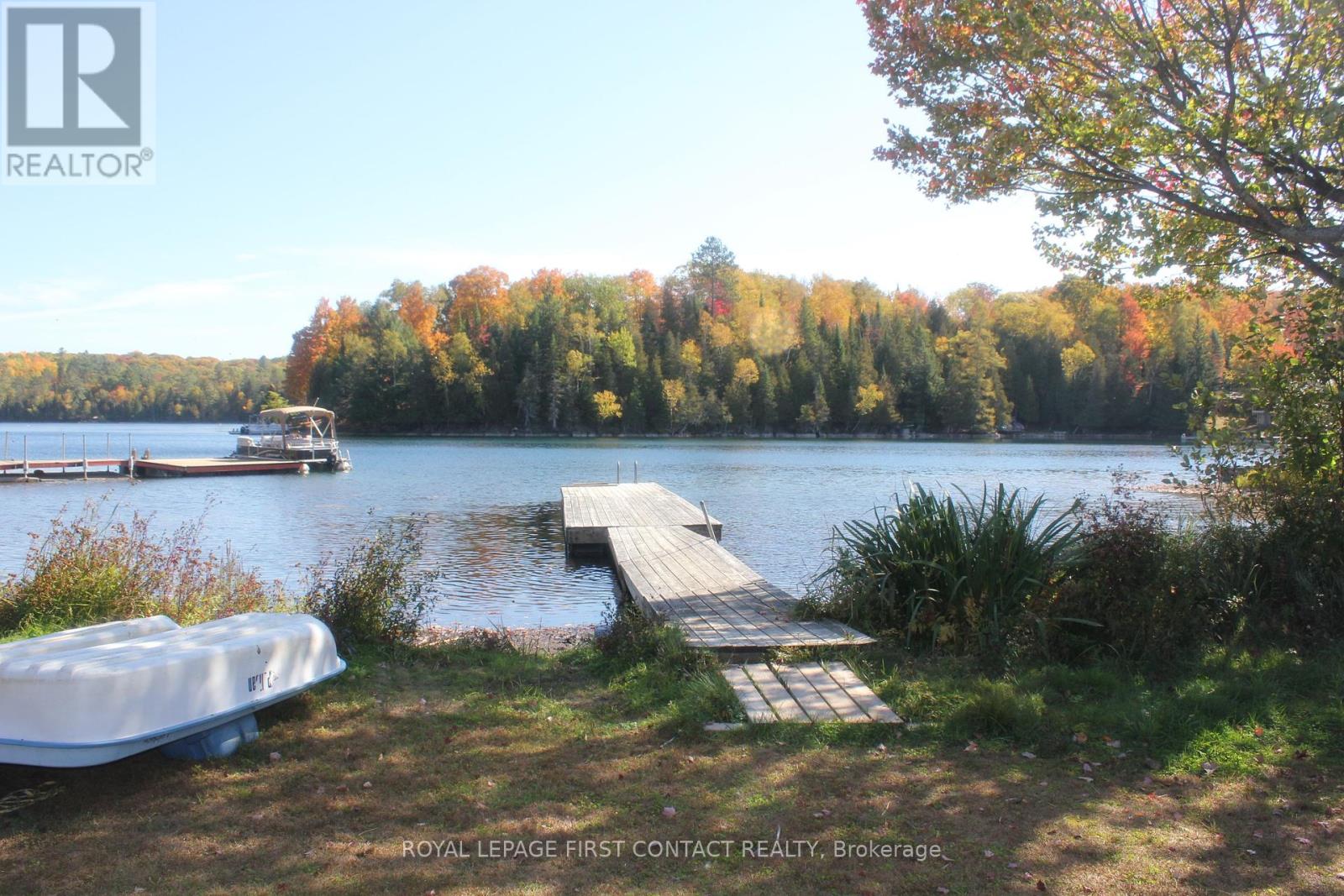 12 Birch Point, Faraday, Ontario  K0L 1C0 - Photo 5 - X12448075