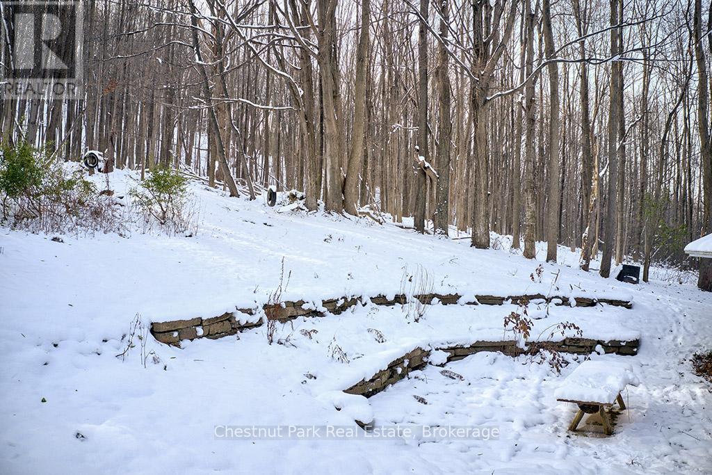 207070 Highway 26, Meaford, Ontario  N4L 1W7 - Photo 7 - X12448092