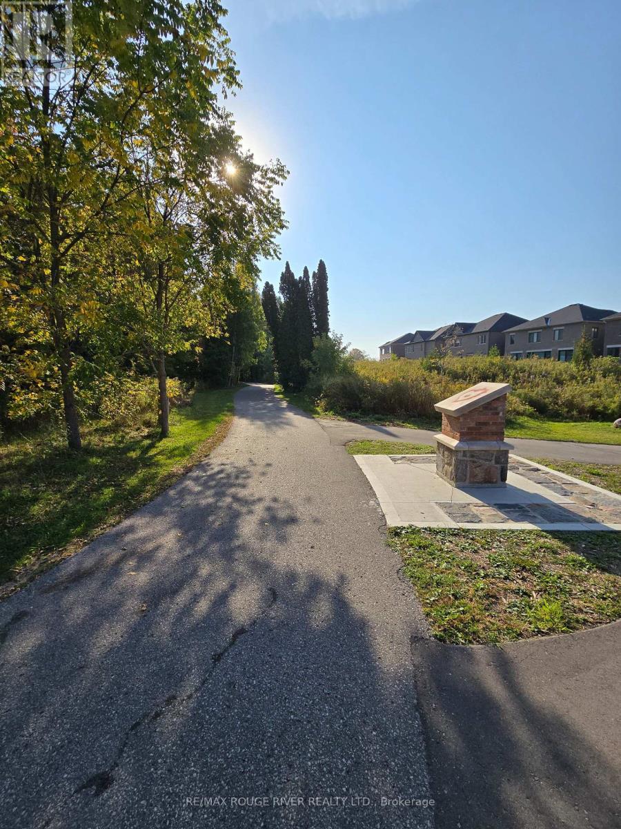 156 Christine Elliott Avenue, Whitby, Ontario  L1P 0L4 - Photo 36 - E12447125