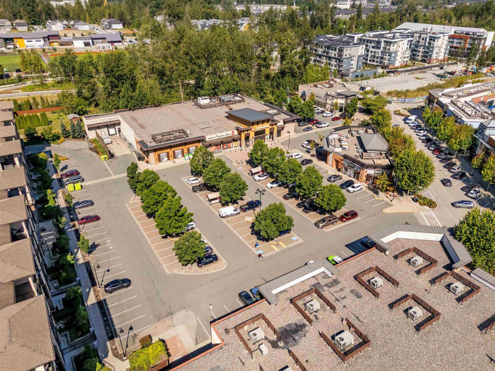 33 20856 76 Avenue, Langley, British Columbia  V2Y 0S7 - Photo 30 - R3055969