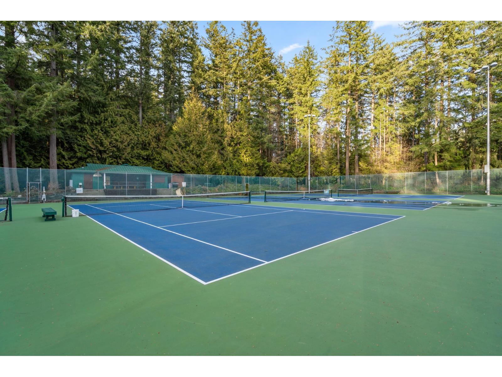 603 6960 Nicholson Road, Delta, British Columbia  V4E 0A9 - Photo 36 - R3055794