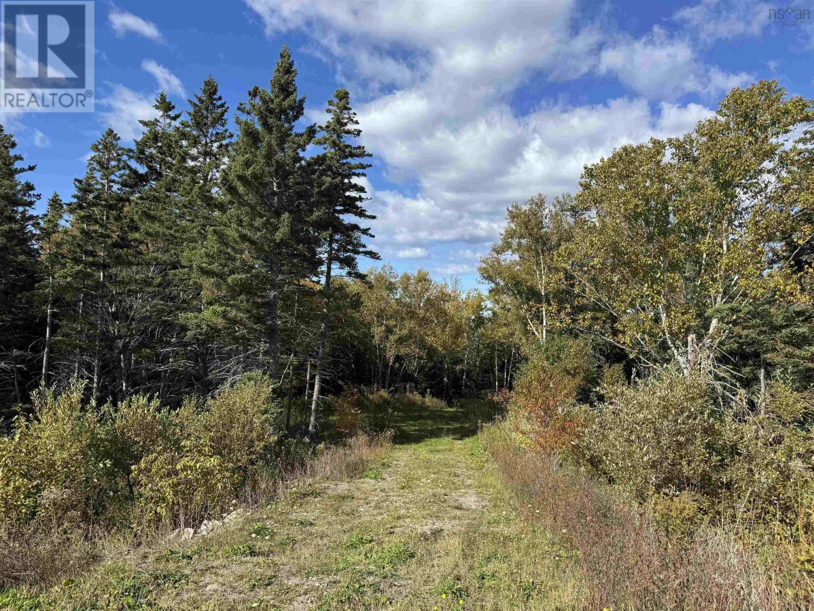 Lot Highway 104, Irish Cove, Nova Scotia  B0E 3B0 - Photo 5 - 202522577