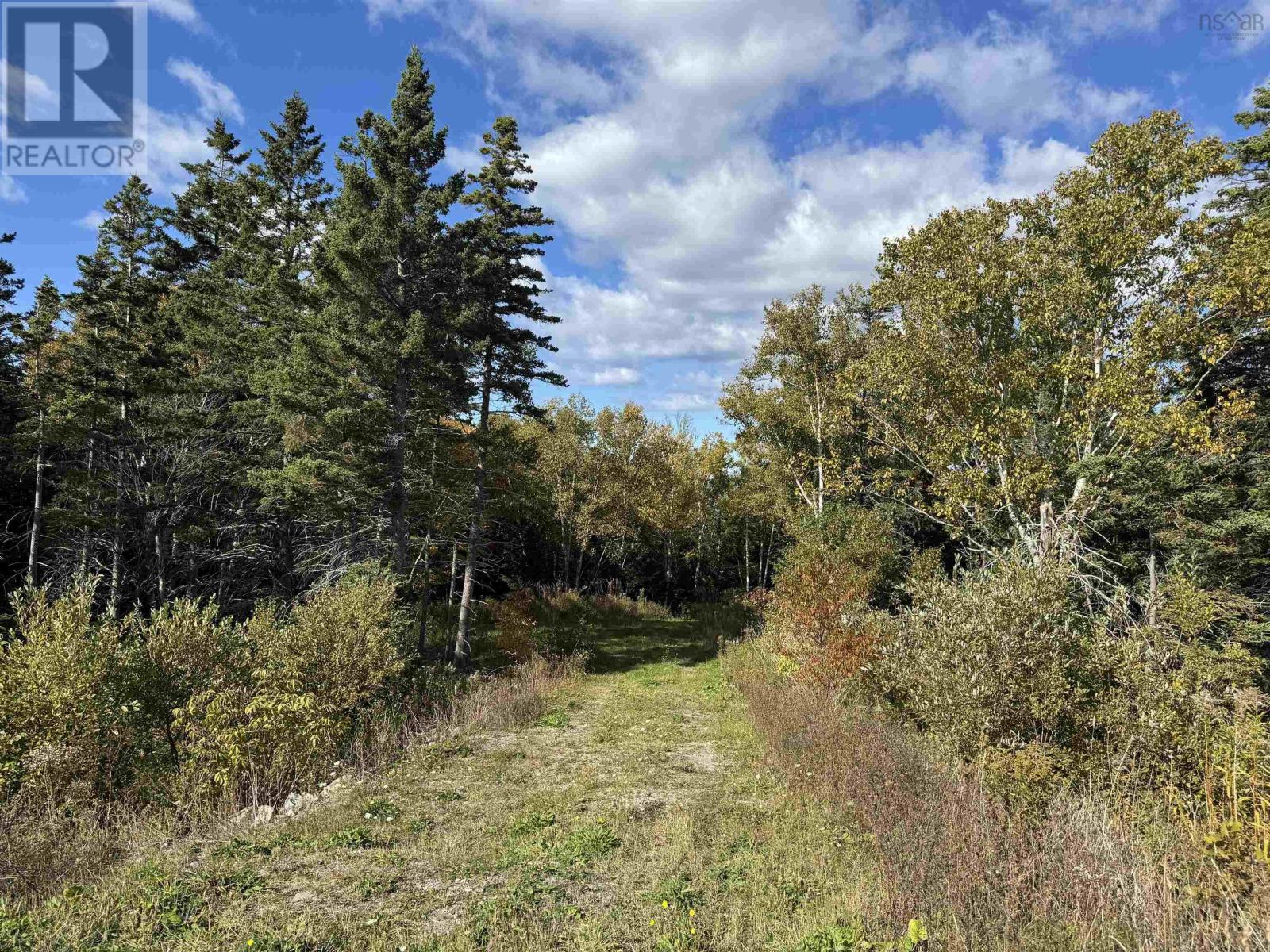 Lot Highway 104, Irish Cove, Nova Scotia  B0E 3B0 - Photo 21 - 202522577