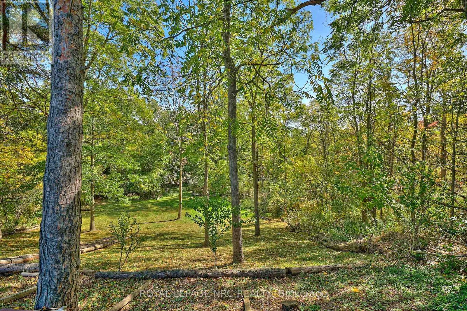 81 Riverview Boulevard, St. Catharines, Ontario  L2T 3L9 - Photo 16 - X12448078