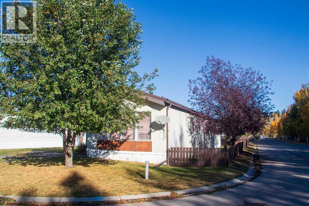 320 4 Street Nw, Sundre, Alberta  T0M 1X0 - Photo 3 - A2258880