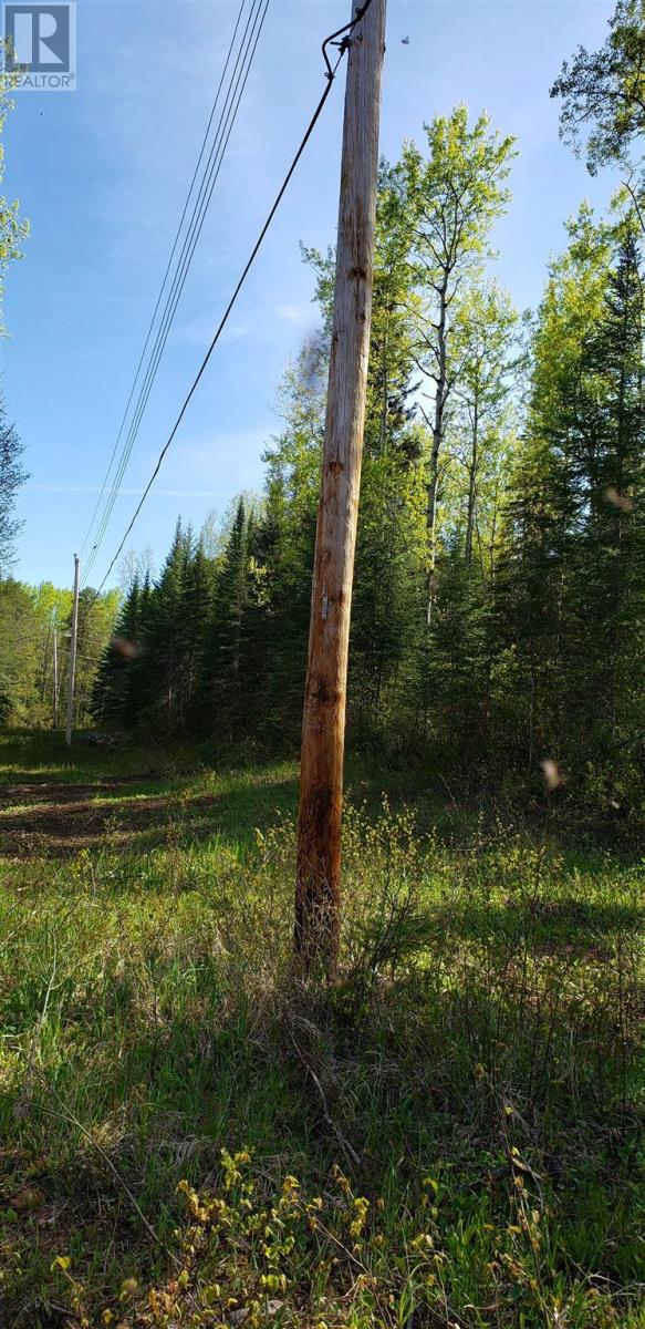 Lot 7 Maki Lake Rd, Gorham Unorganized Township, Ontario  P7G 0L4 - Photo 13 - TB251254
