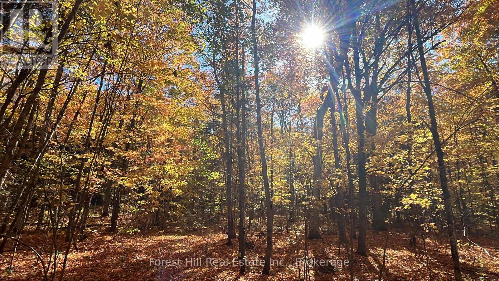 1474 Etwell Road, Huntsville (Stisted), Ontario  P1H 2J2 - Photo 45 - X12438715