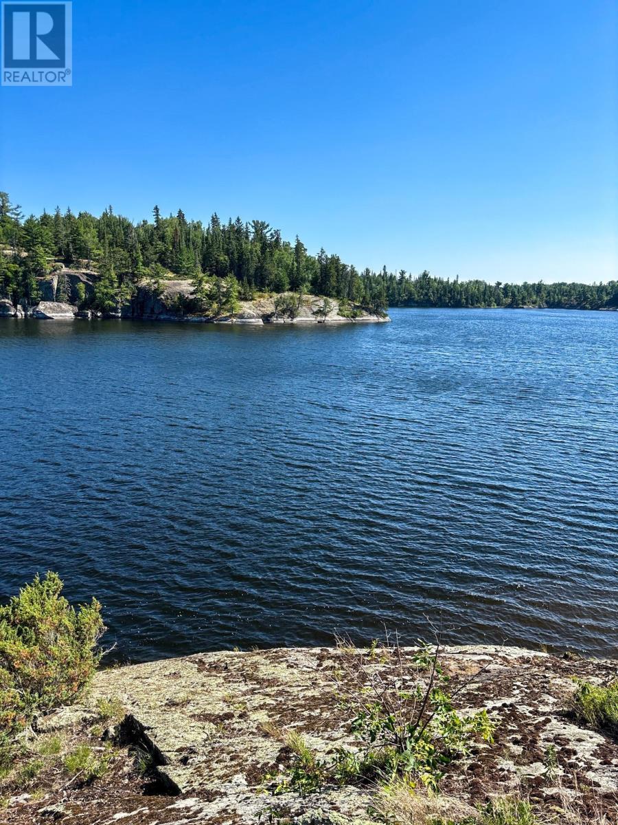 Km270 Island, Crow Rock Island Area, S Of Kenora, Ontario P9N 3W8 - Photo 18 - TB253156