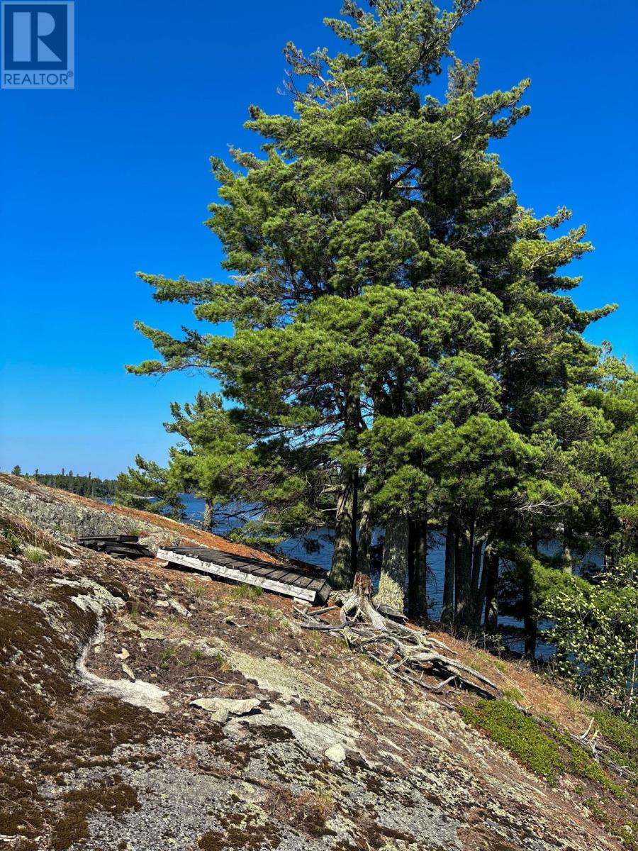 Km270 Island, Crow Rock Island Area, S Of Kenora, Ontario P9N 3W8 - Photo 17 - TB253156