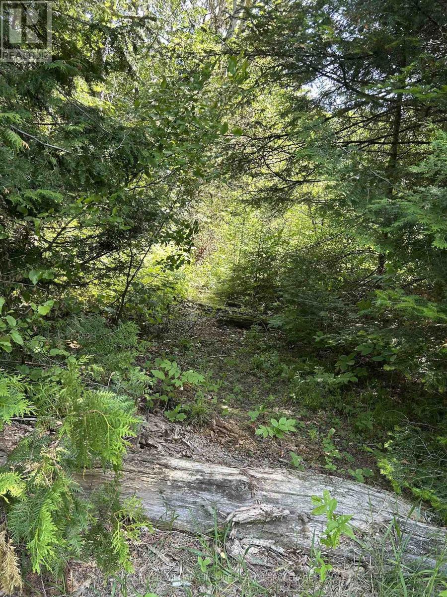 0 509 Highway, Frontenac, Ontario  K0H 2M0 - Photo 19 - X12448414