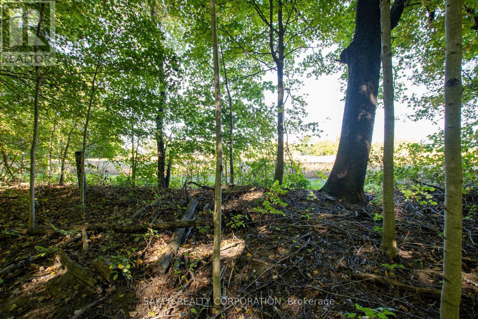 22560 Troops Road, Strathroy-Caradoc, Ontario  N0L 1W0 - Photo 4 - X12448470