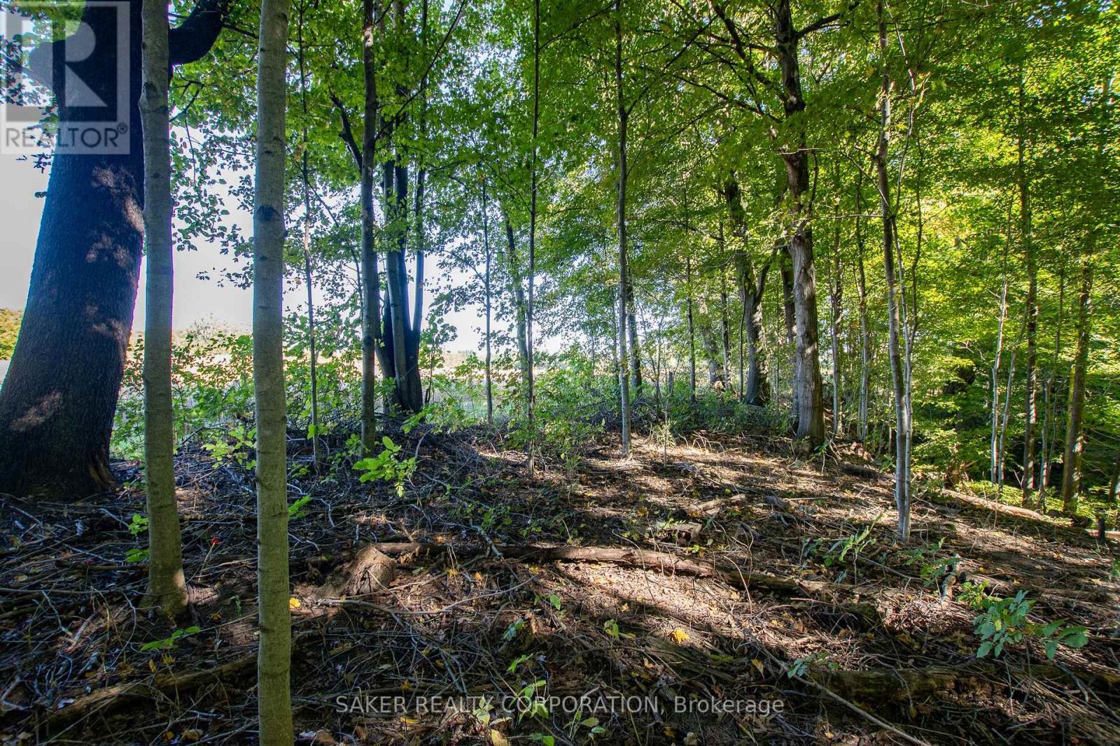 22560 Troops Road, Strathroy-Caradoc, Ontario  N0L 1W0 - Photo 5 - X12448470