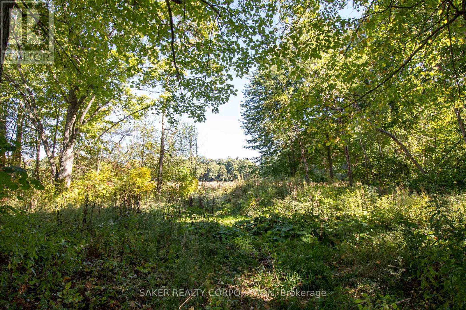 22480 Troops Road, Strathroy-Caradoc, Ontario  N0L 1W0 - Photo 10 - X12448472