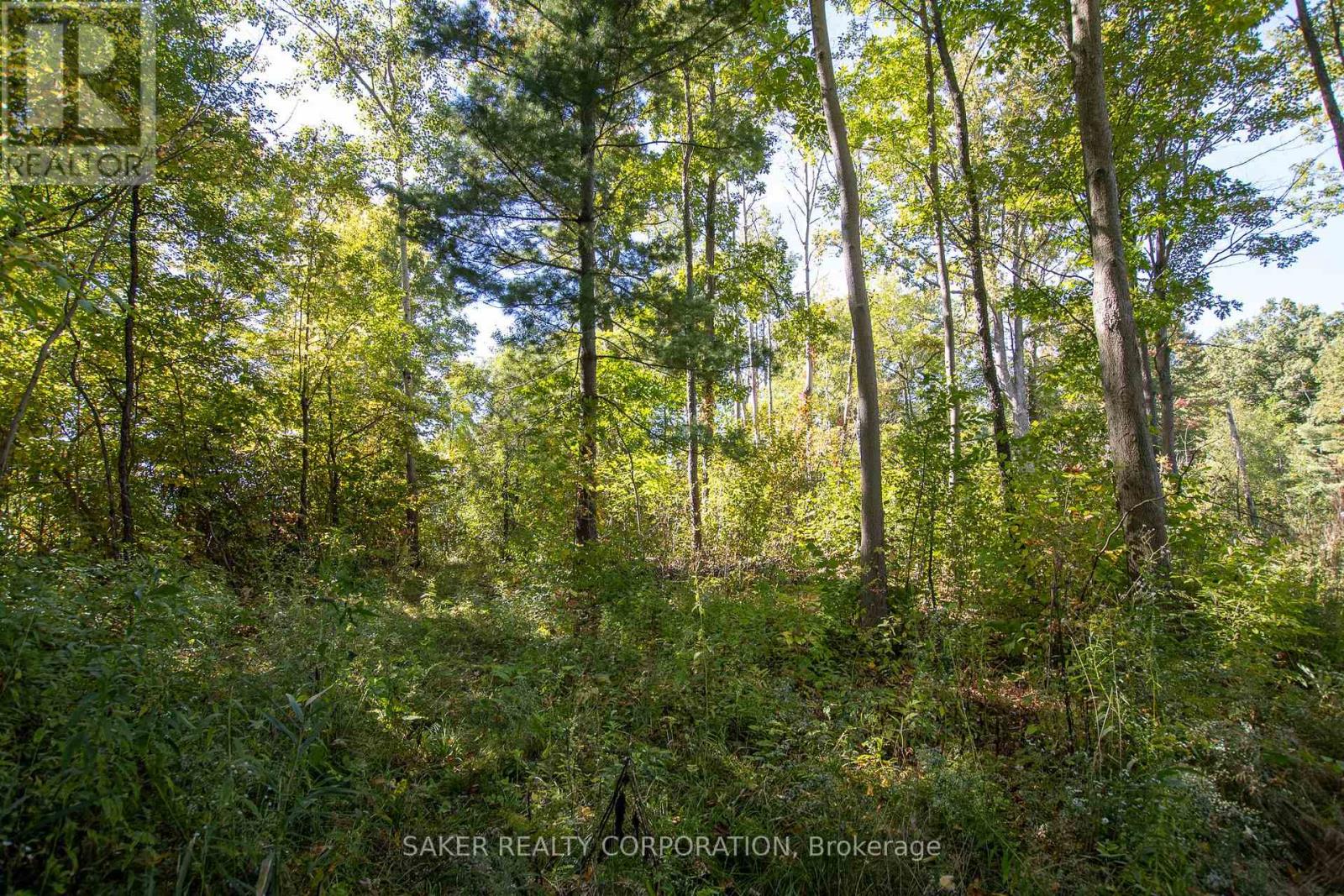 22480 Troops Road, Strathroy-Caradoc, Ontario  N0L 1W0 - Photo 3 - X12448472