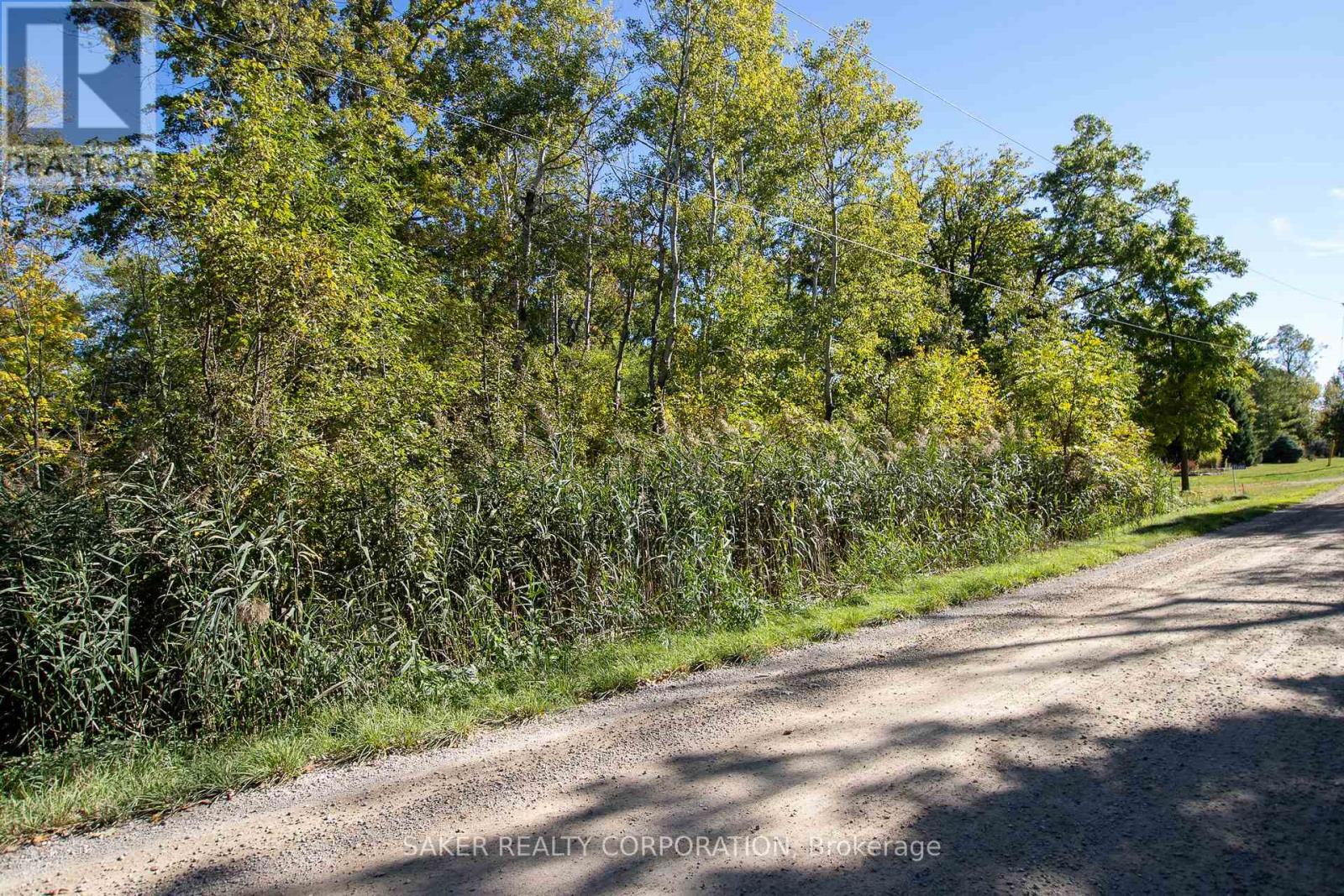22480 Troops Road, Strathroy-Caradoc, Ontario  N0L 1W0 - Photo 7 - X12448472