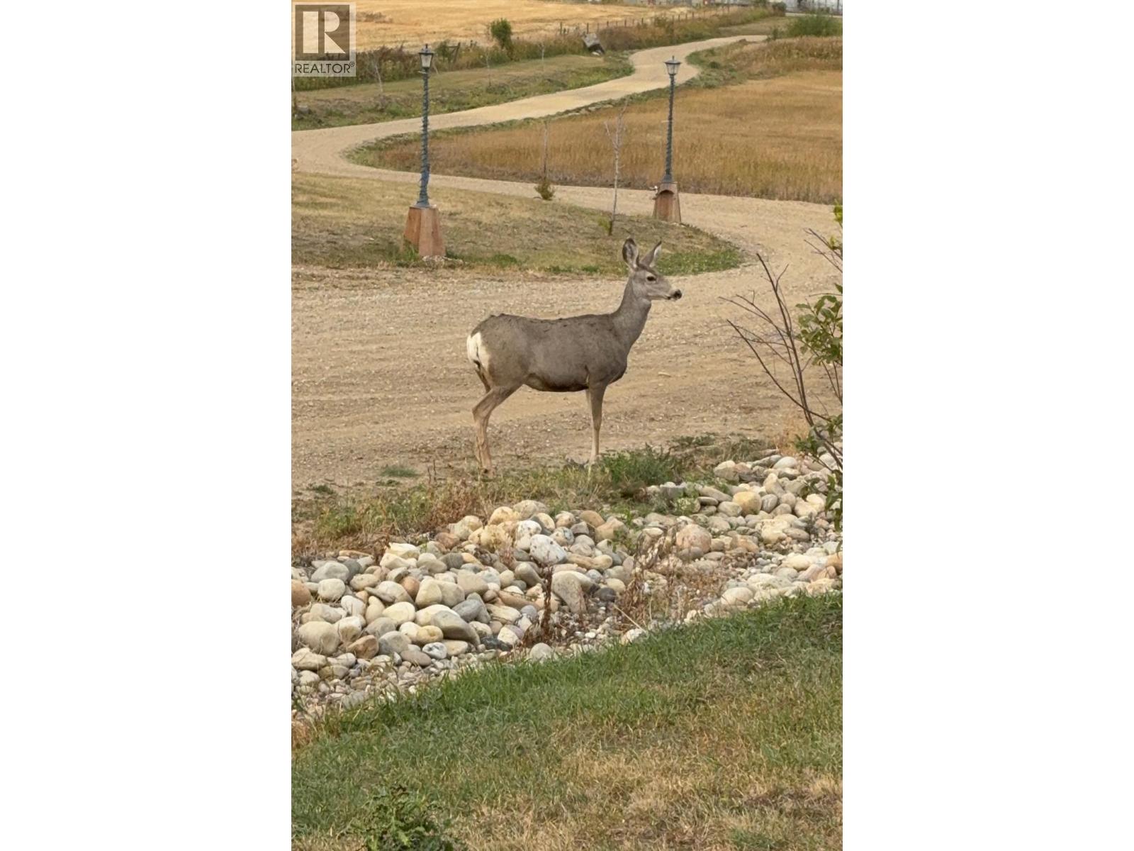 8142 219 Road, Dawson Creek, British Columbia  V1G 4E8 - Photo 32 - 10352411